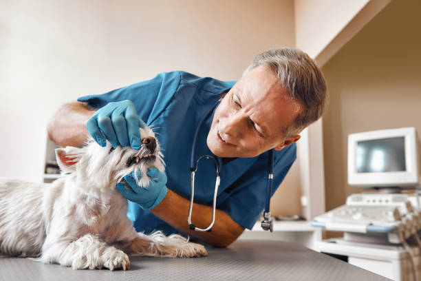 Best 24-Hour Emergency Dentist in Alexandria, IN